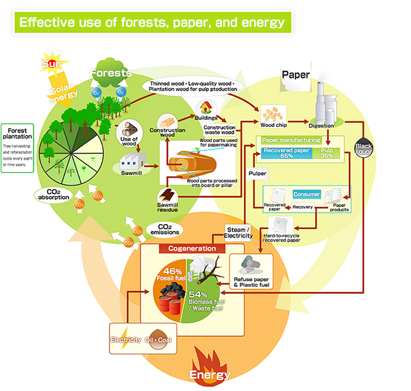 Effective use of forests, paper, and energy