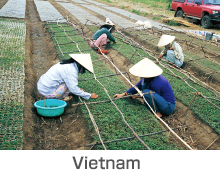 Vietnam