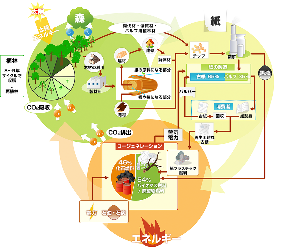 日本製紙連合会 環境への取り組み 循環型産業について 総論