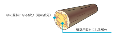 製材残材イラスト