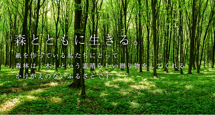 森とともに生きる。 紙を作っている私たちにとって 森林は「木」という素晴らしい贈り物をしてくれる かけがえのないふるさとです。