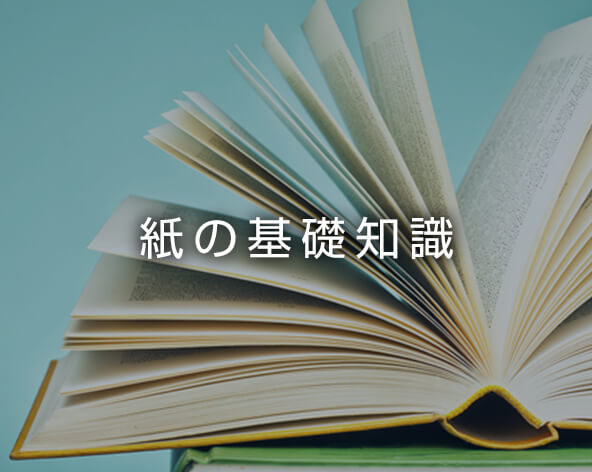紙の基礎知識