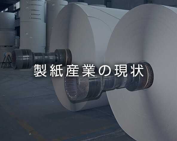 日本製紙連合会 | 製紙産業の現状 | パルプ