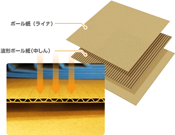 ボール紙（ライナ）　波形ボール紙（中しん）