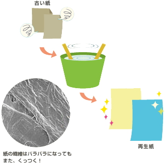 紙の繊維はバラバラになってもまた、くっつく！