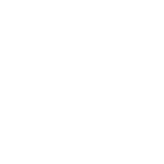 1-A 木材からパルプをつくる