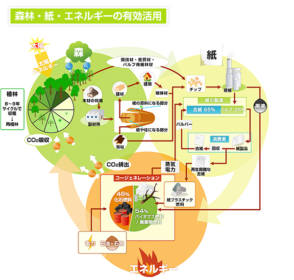 森林・紙・エネルギーの有効活用